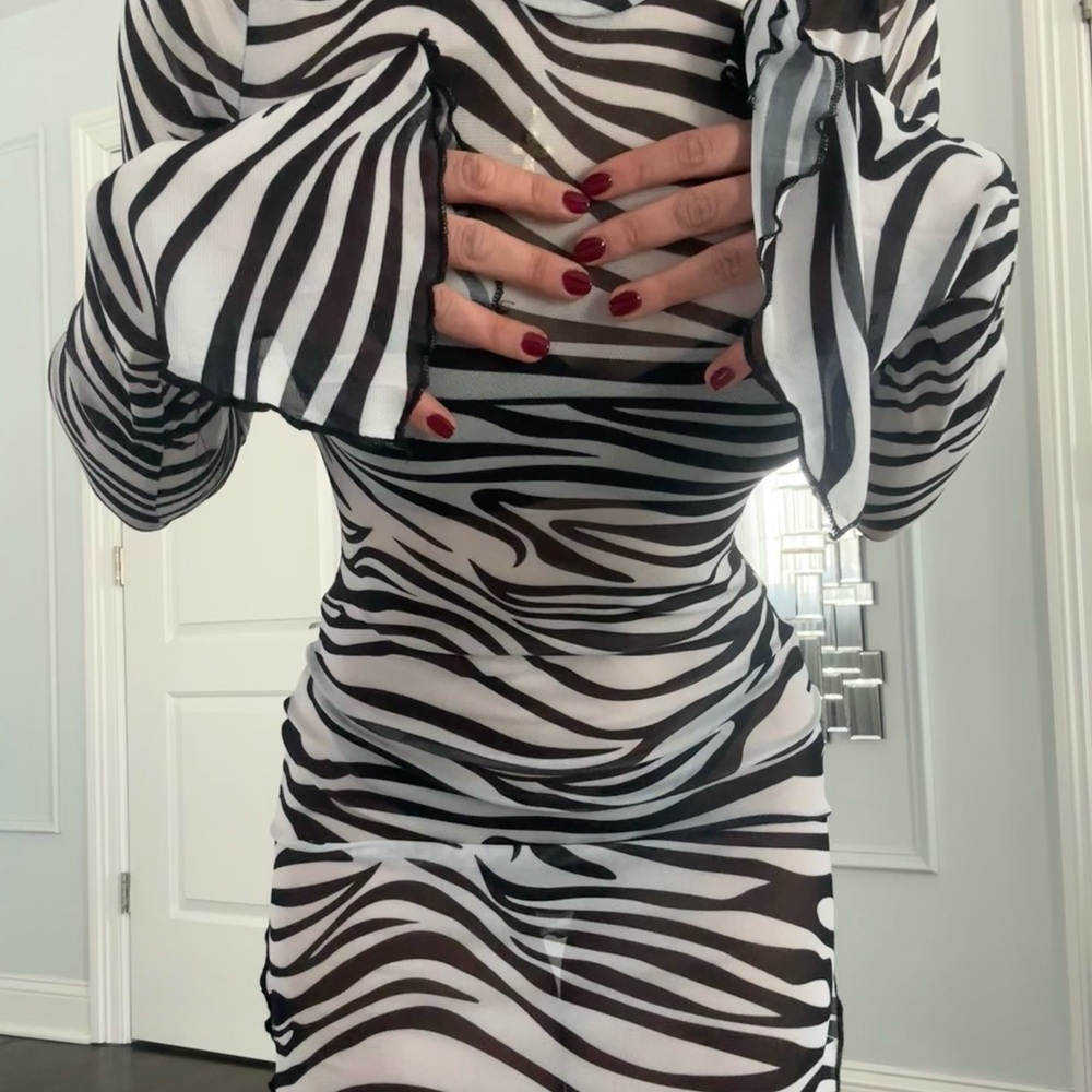 Zebra Print Mesh Black and White Dress
